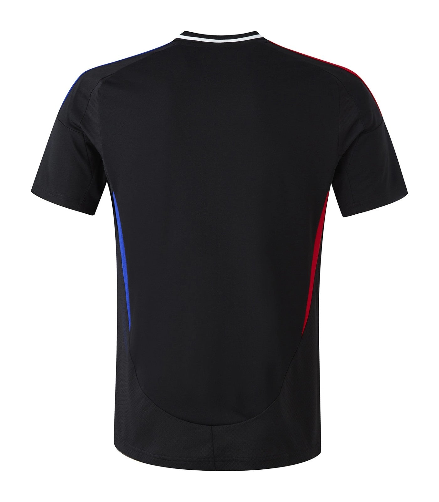 Lyon 2024-25 Away Shirt (Men's Fan Edition)