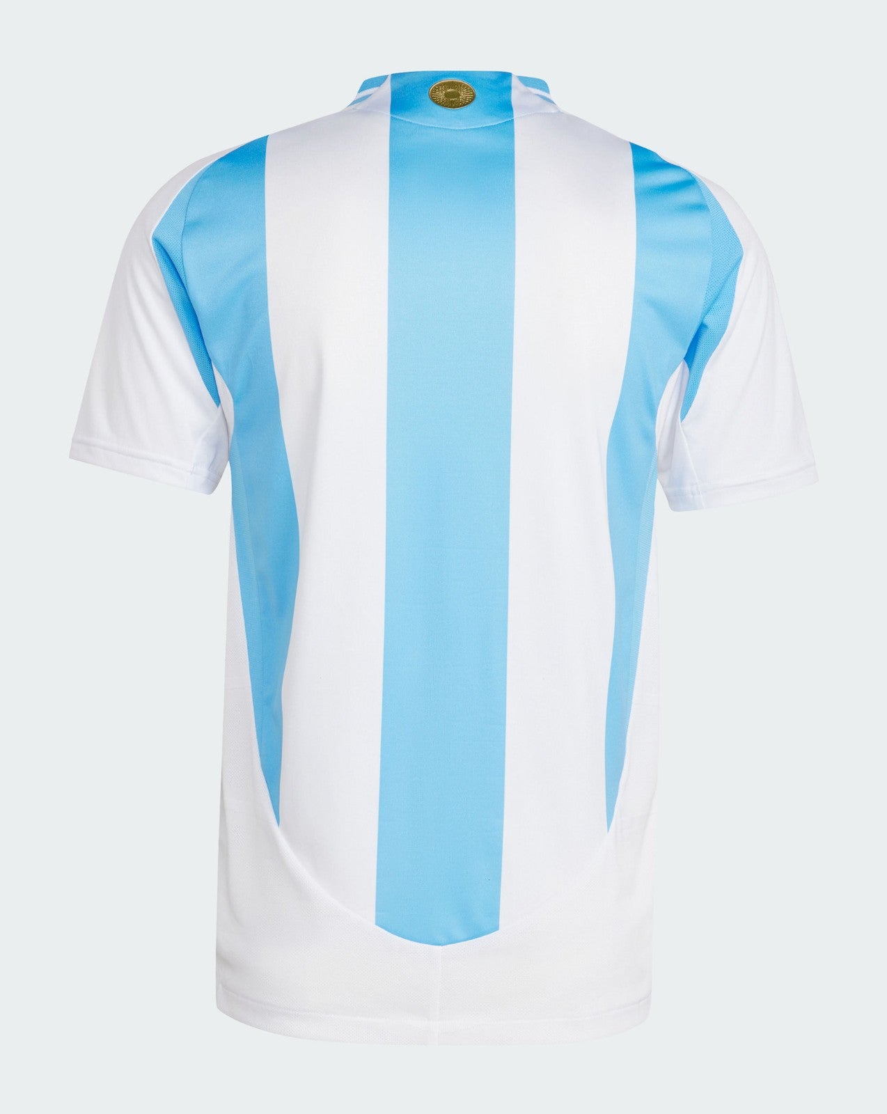 Argentina 2024-25 Home Shirt (Men's Fan Edition)