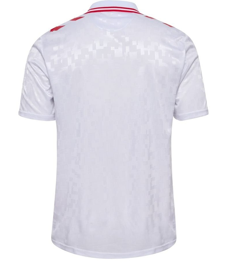 Denmark 2024-25 Away Shirt (Men's Fan Edition)